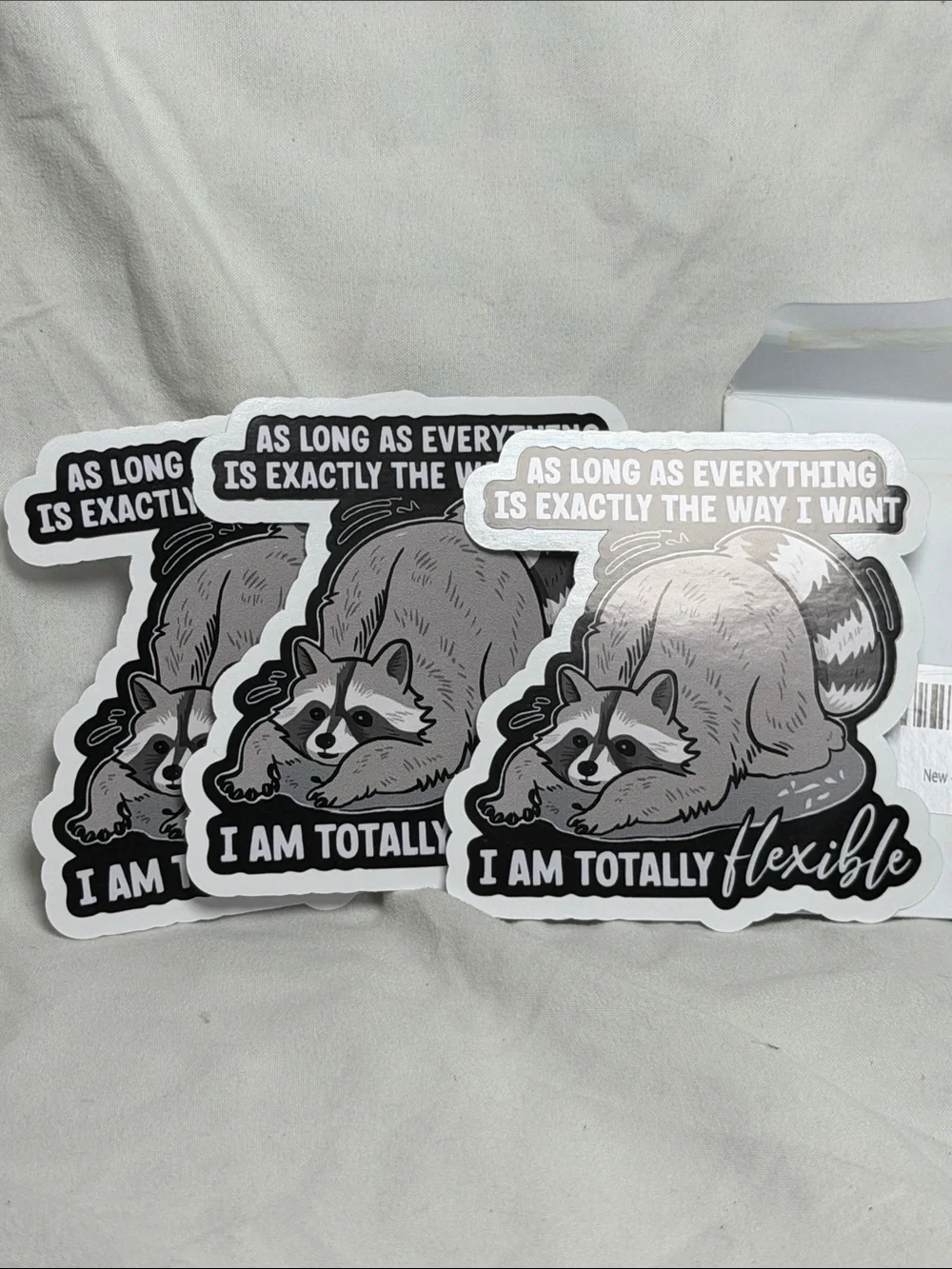 Funny Raccoon Sticker Pack - 3” - Picture 1 of 2